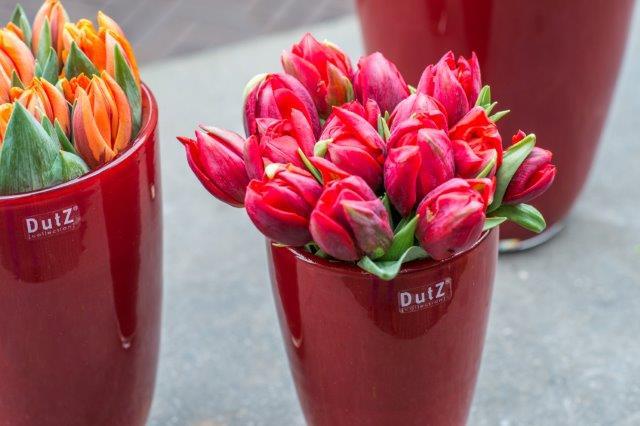 FLOWERVASE - RED by DutZ
