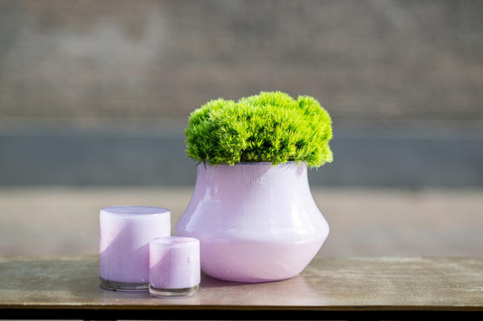 Orchid POT MARCO - H14 D18 cm - LILAC Colour by DutZ