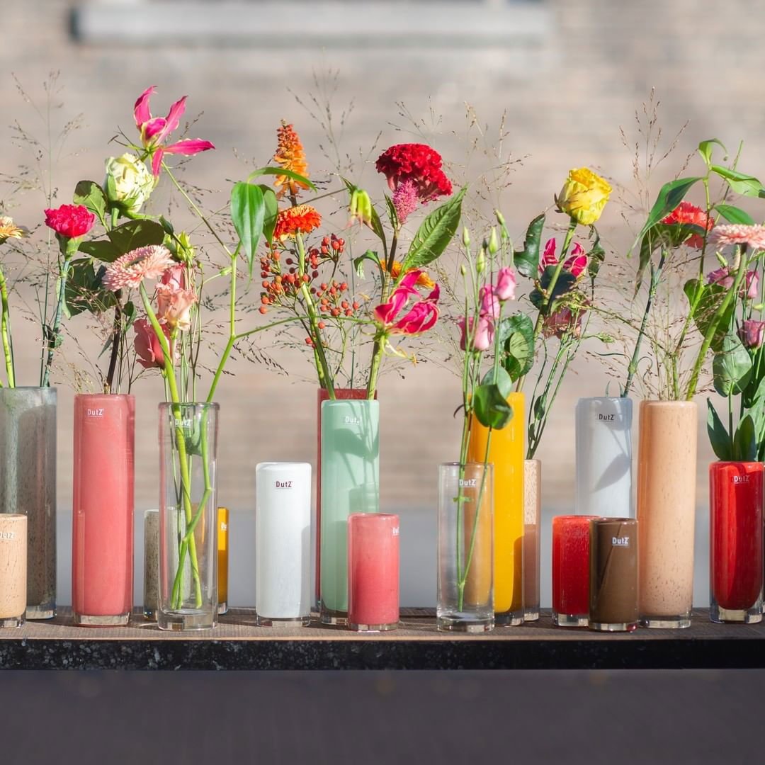 Colourful Lowlands Design cylinder vase collection with various flowers on display