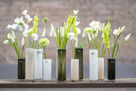 Lowlands Design cylinder vase collection in black and white colours holding fresh white and green flowers