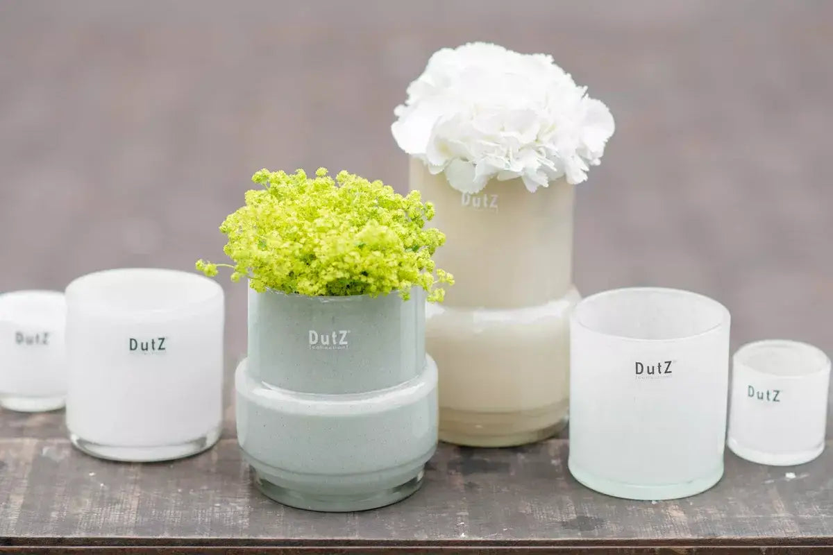 Elegant glass light grey vase plant pot collection from Lowlands Design, ideal for floral displays.