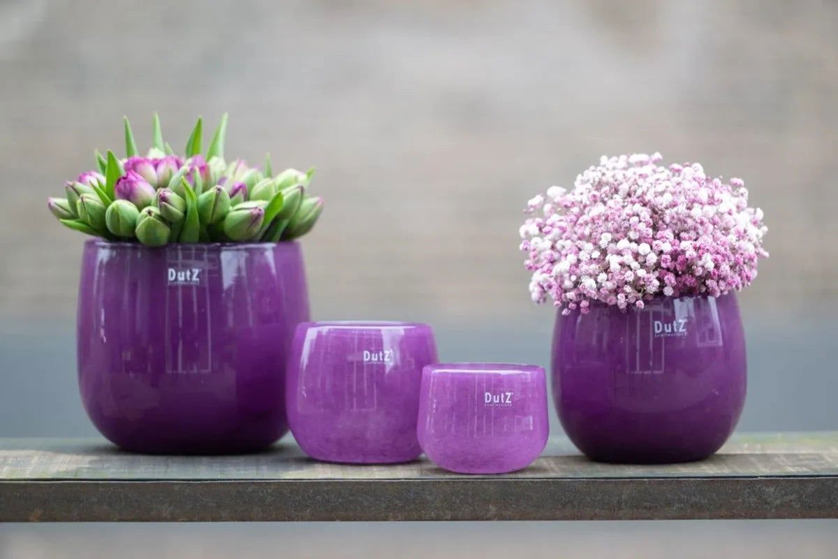 Set of purple Lowlands Design glass pot planters with flowers on wooden surface
