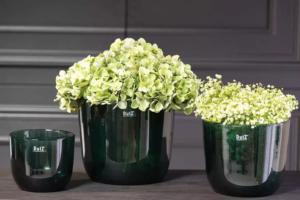 Set of three Lowlands Design glass purple plant pots with vibrant green flowers for stylish home decor