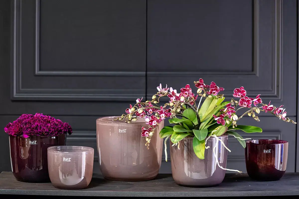 Collection of Lowlands Design glass purple plant pots featuring orchids and flowers