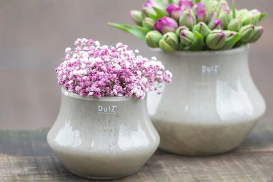 Lowlands Design ceramic orchid pot in grey with pink flowers on wooden surface