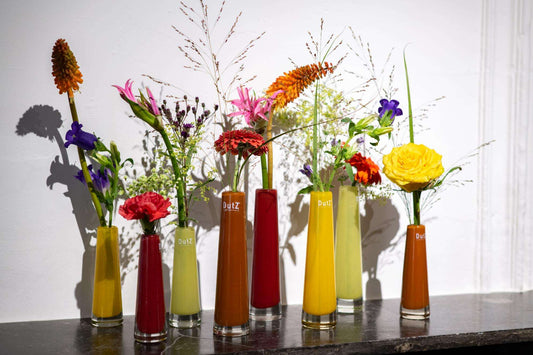 Collection of vibrant single flower vases glass from Lowlands Design, showcasing various floral arrangements