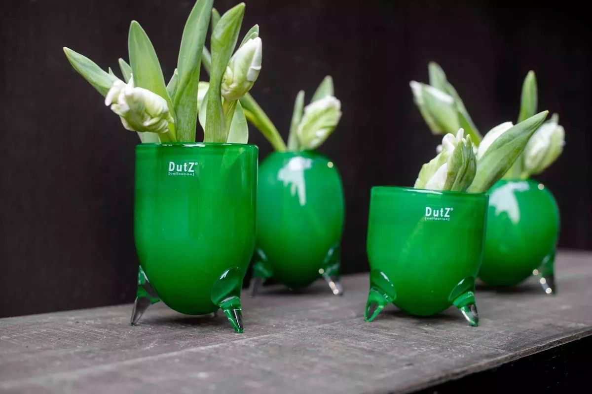 Lowlands Design green vase set glass feet featuring elegant glass vases with short legs holding white flowers