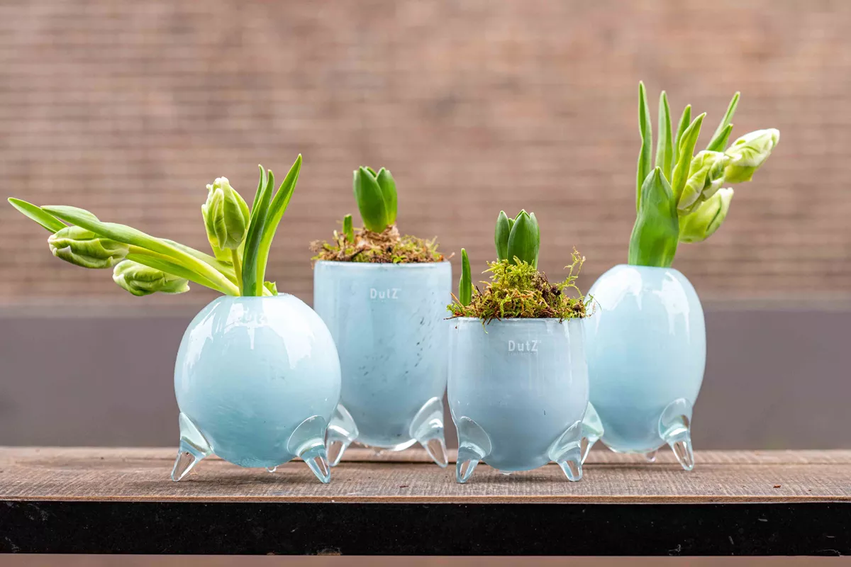 Lowlands Design vase set glass feet in light blue with green plants displayed on wooden surface