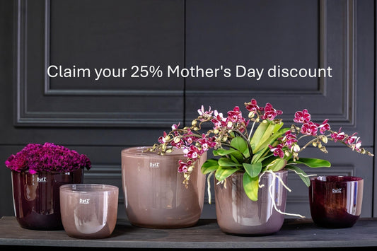 Mother's Day Discount And Our Vase Recommendations