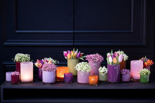 Roses & Fruits: A Celebration of Colour, Warmth, and Joy