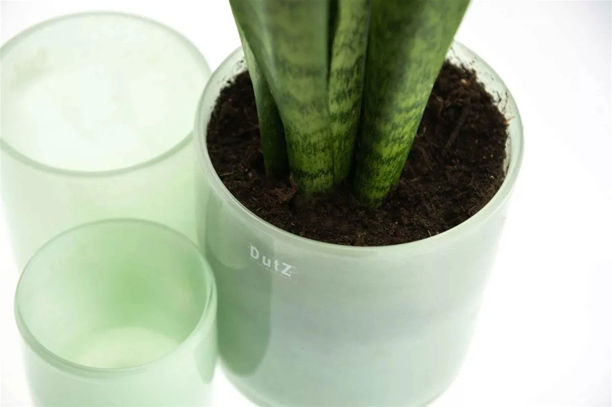 CYLINDER C1 Candle Votive -  MENTHOL Colour by DutZ - Lowlands Design -  - CYLINDER C1 Candle Votive - MENTHOL Colour by DutZ - Lowlands Design - Cylinders - #tag1# - #tag2# - #tag3# - #tag4#