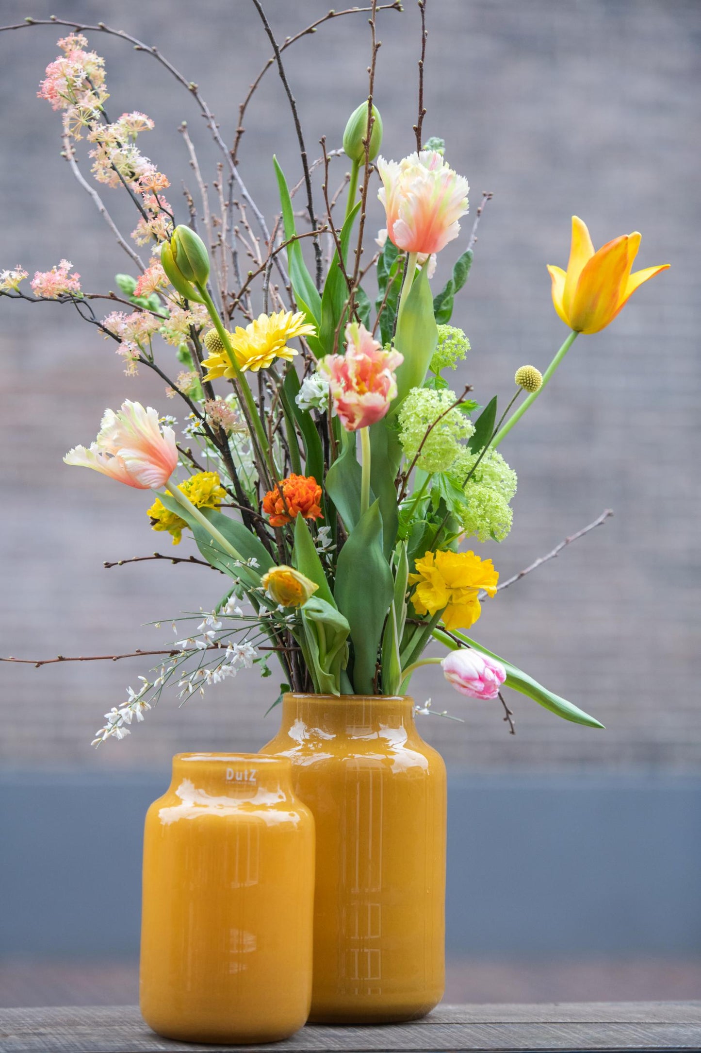 VASE NOVA C - H25 D15 cm Apothecary Vase