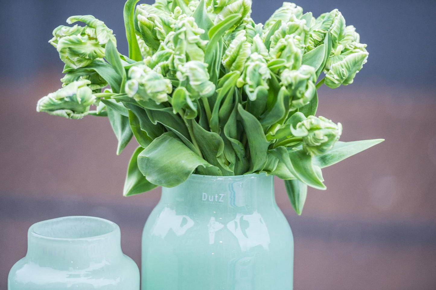 VASE NOVA C - H25 D15 cm Apothecary Vase