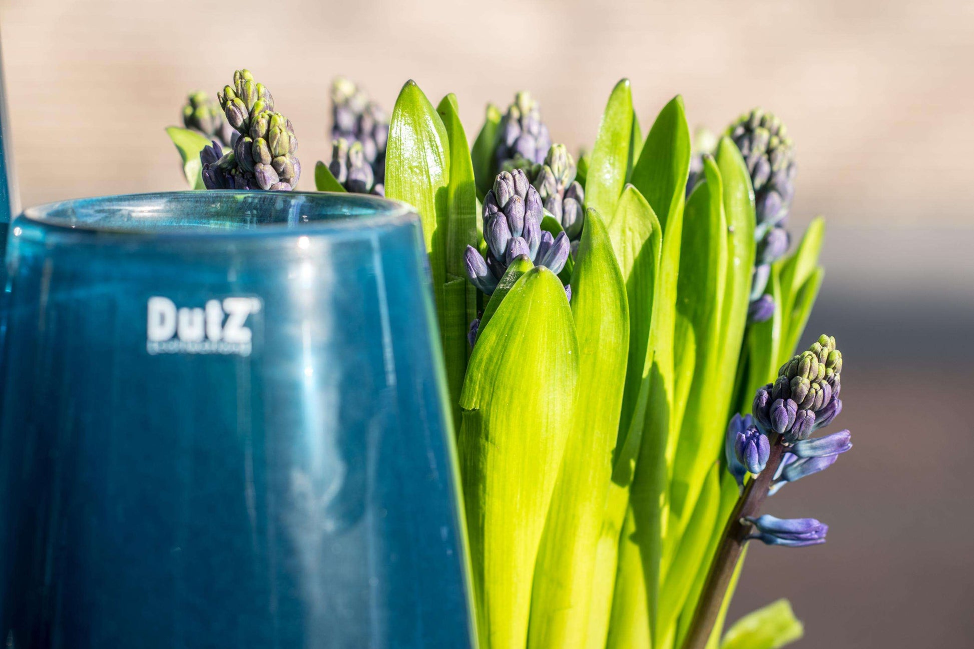 Lowlands Design glass flower vase with vibrant green leaves and blue flowers for elegant decor