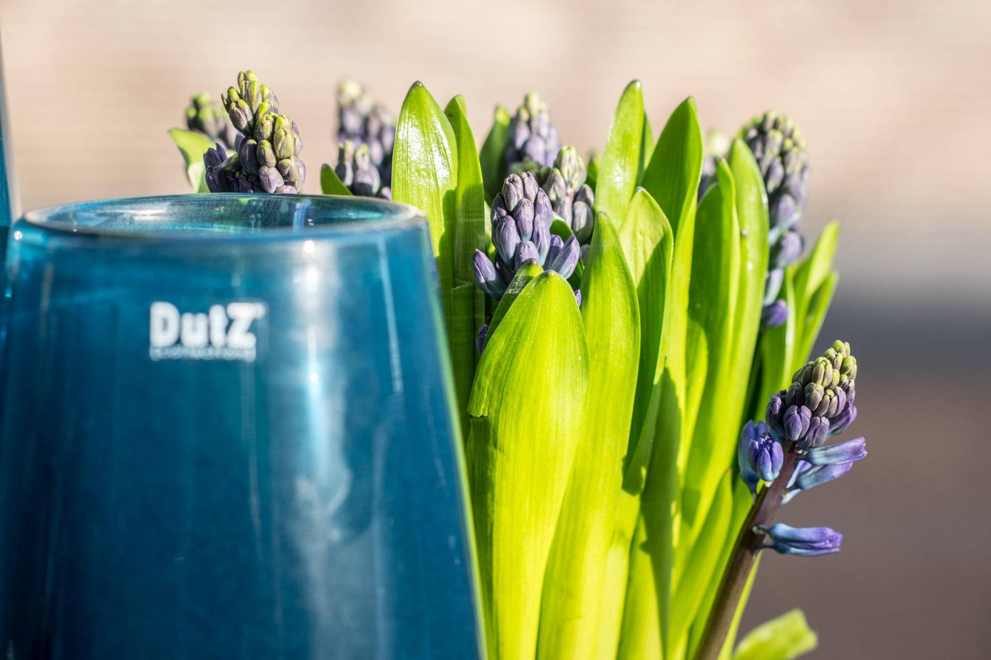 Lowlands Design glass flower vase with vibrant green leaves and blue flowers for elegant decor