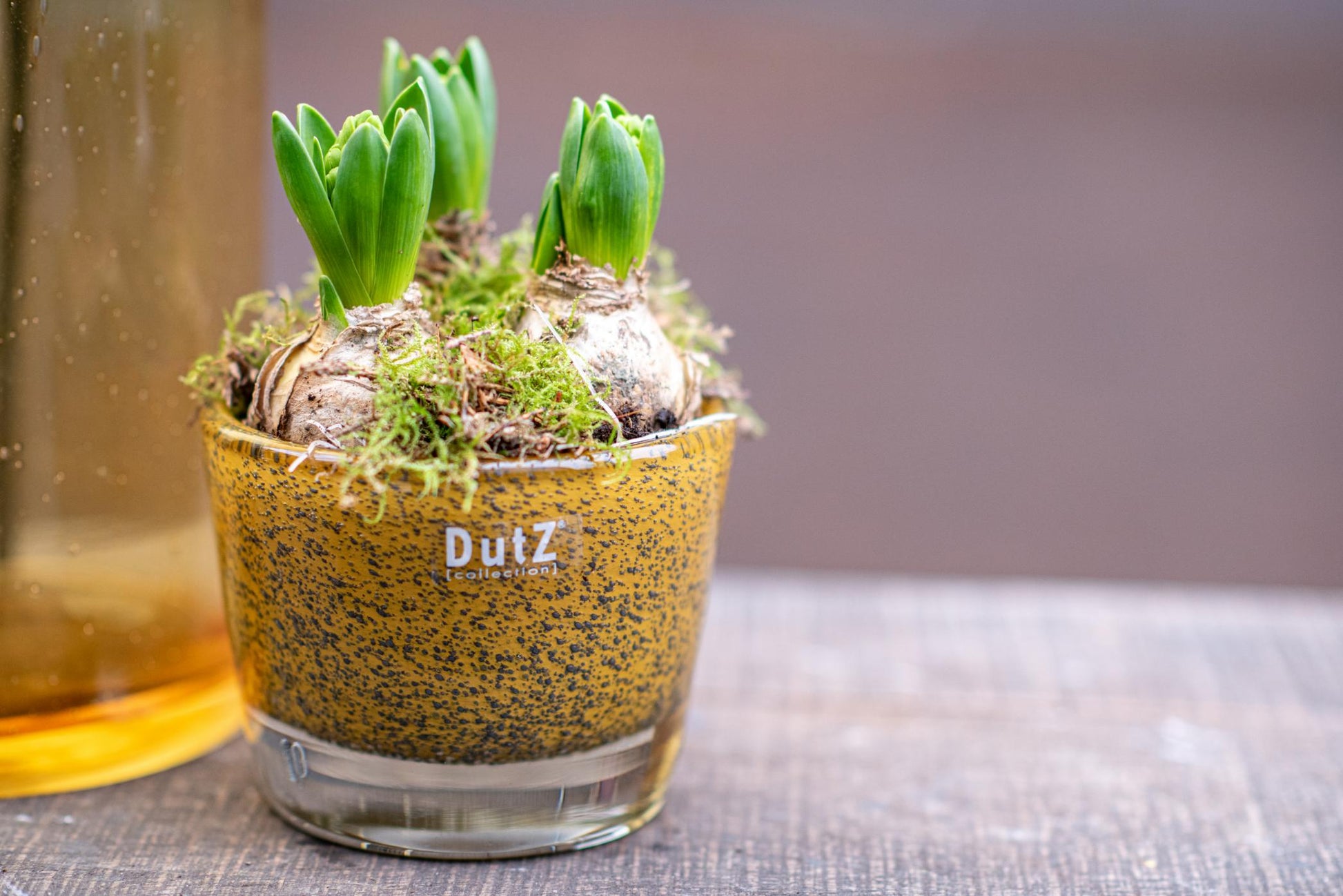 Lowlands Design conic vase in textured yellow with decorative moss and plants for home decor