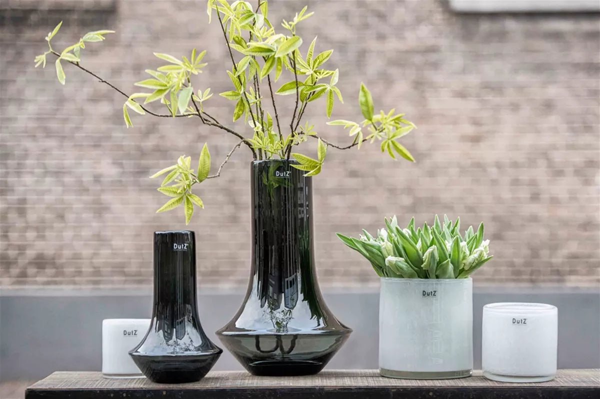 Lowlands Design black and white cylinder vases with green leaves and plants on wooden surface