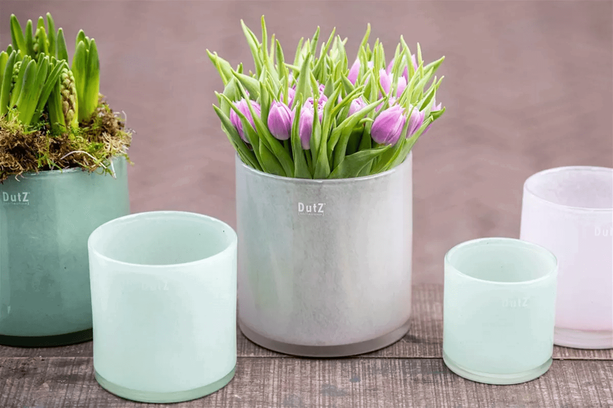 Lowlands Design cylinder planters in various sizes with green plants and purple flowers on a wooden surface