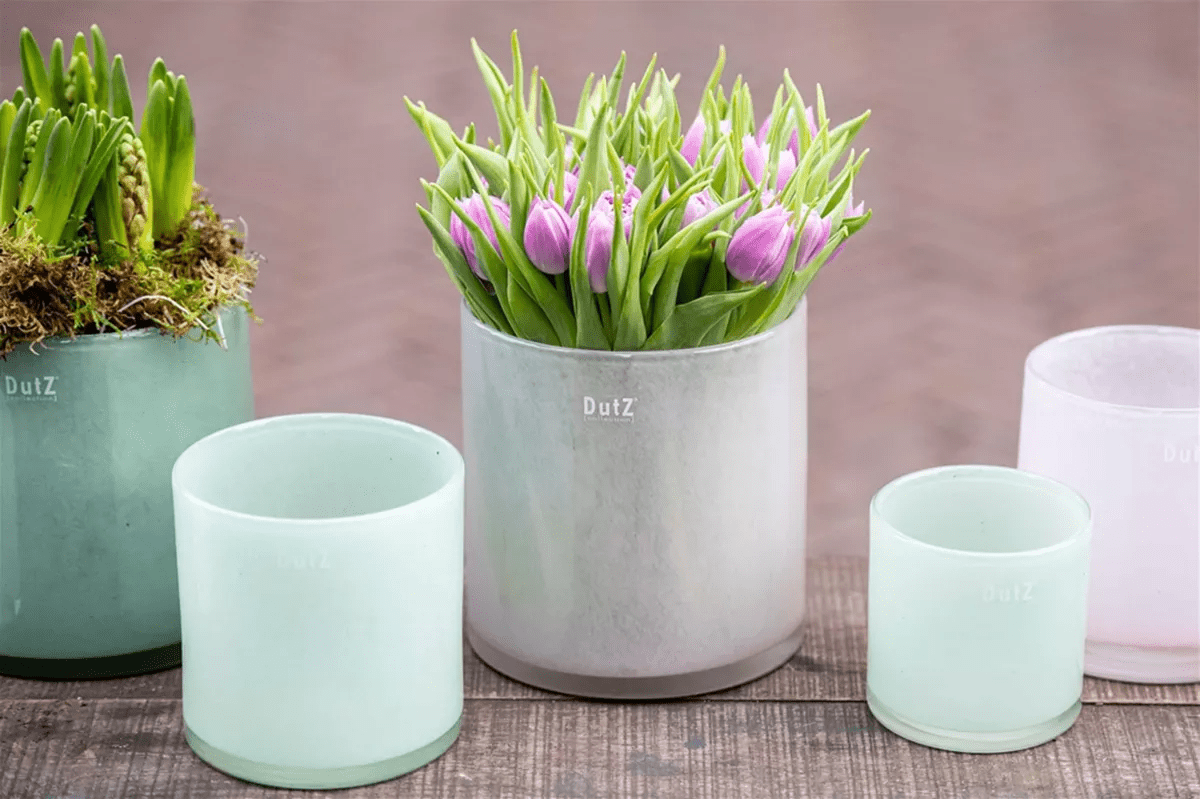 Lowlands Design cylinder planters in various sizes with green plants and purple flowers on a wooden surface