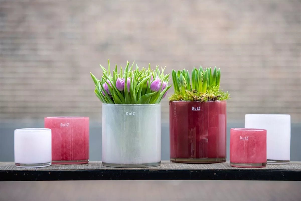 Lowlands Design cylinder planters and candle holders in white, pink, and red colors with flowers and plants