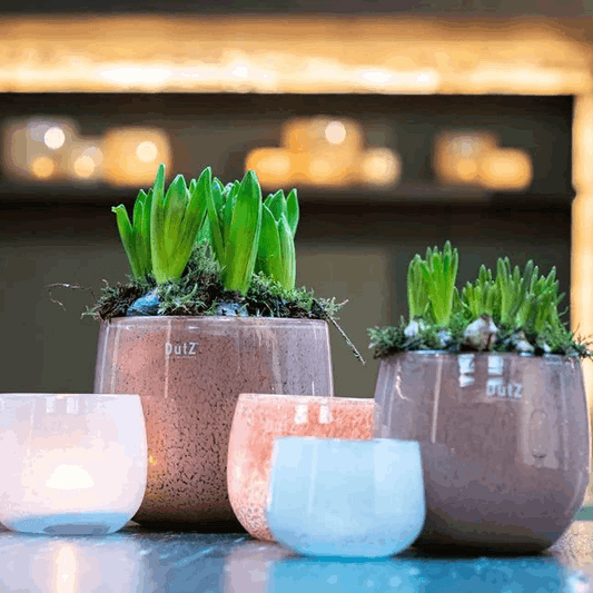 The Mouthblown Glass POT Collection - by DutZ