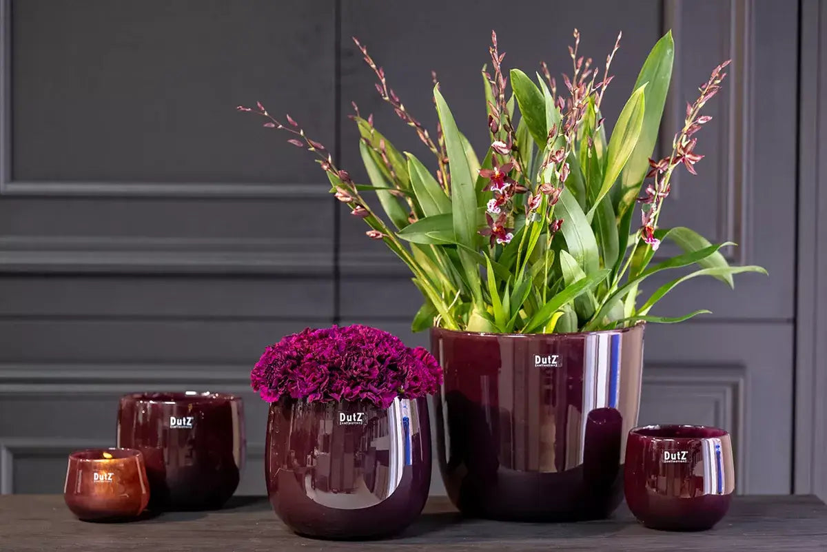 Lowlands Design glass purple plant pot with vibrant flowers set against an elegant background