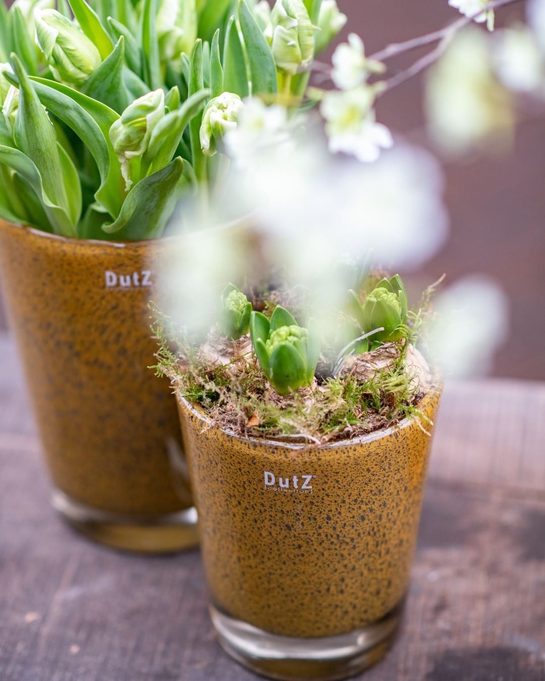 CONIC Vase - Thick with Bubbles by DutZ