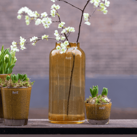 Glass Flowervase BARREL from Lowlands Design with decorative flowers and potted plants