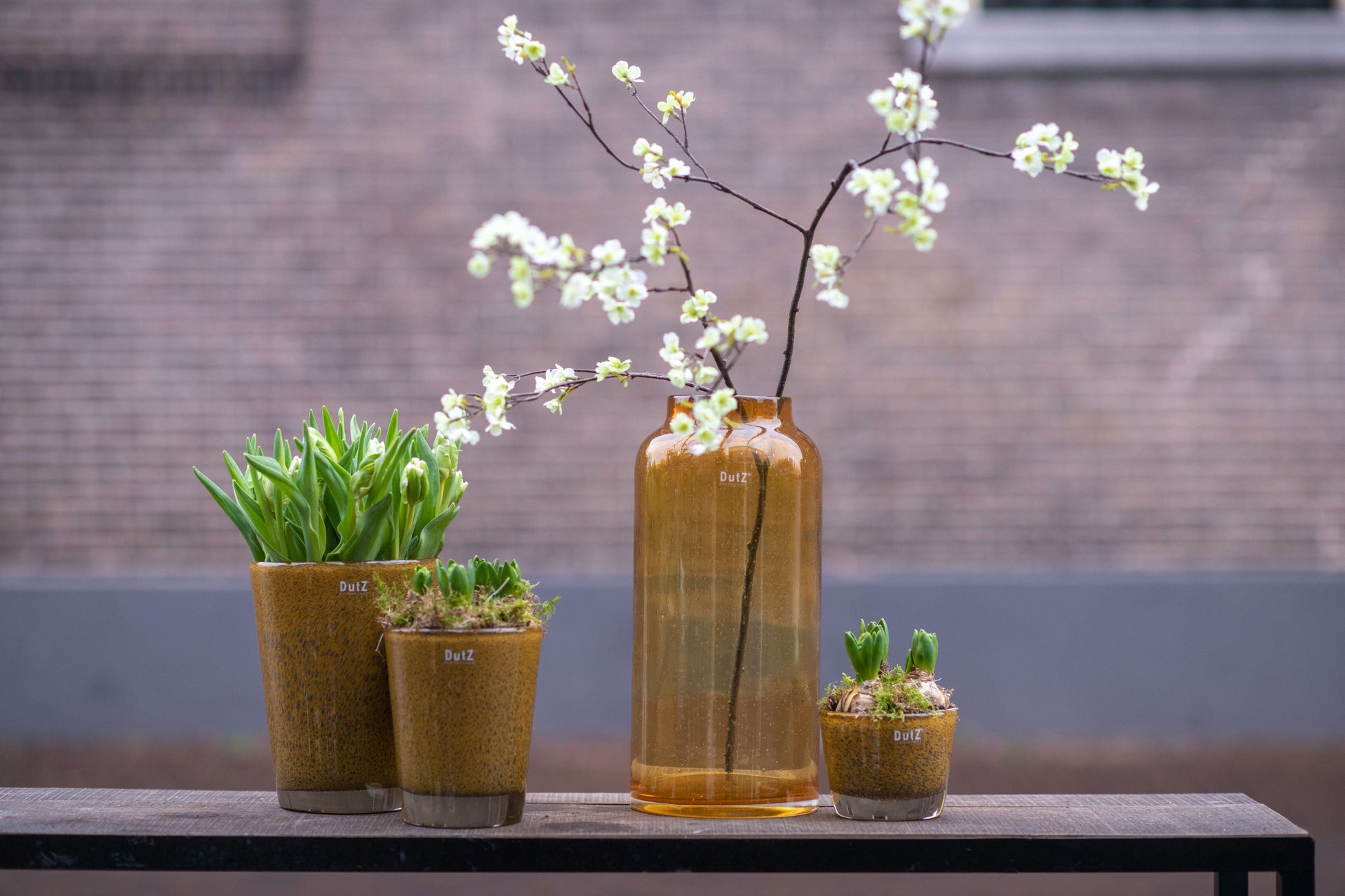 Glass Flowervase BARREL by Lowlands Design with decorative flowers and plants displayed