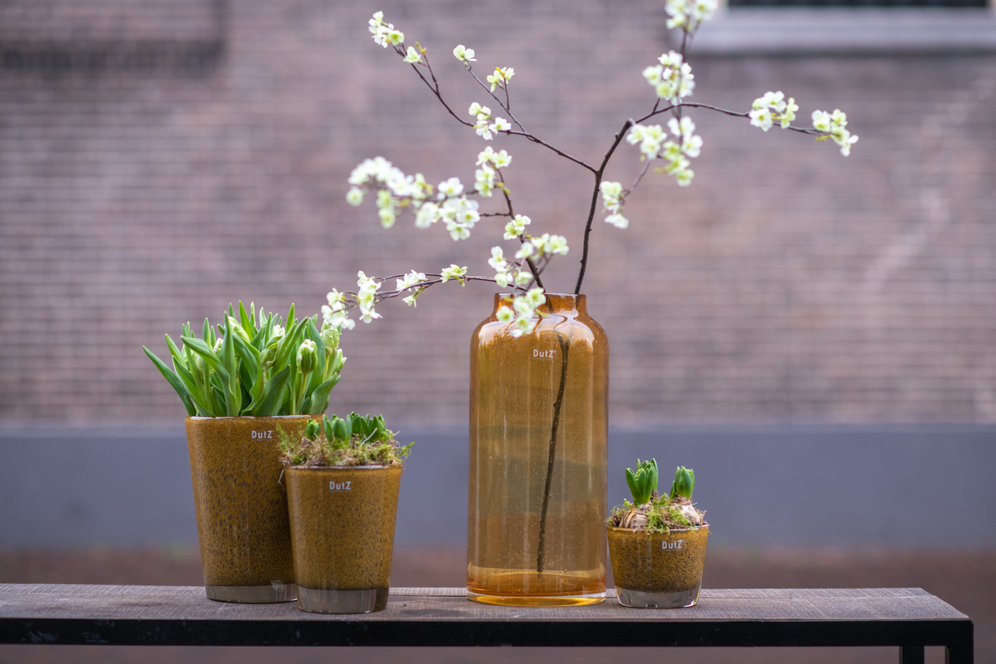 Glass Flowervase BARREL by Lowlands Design with decorative flowers and plants displayed
