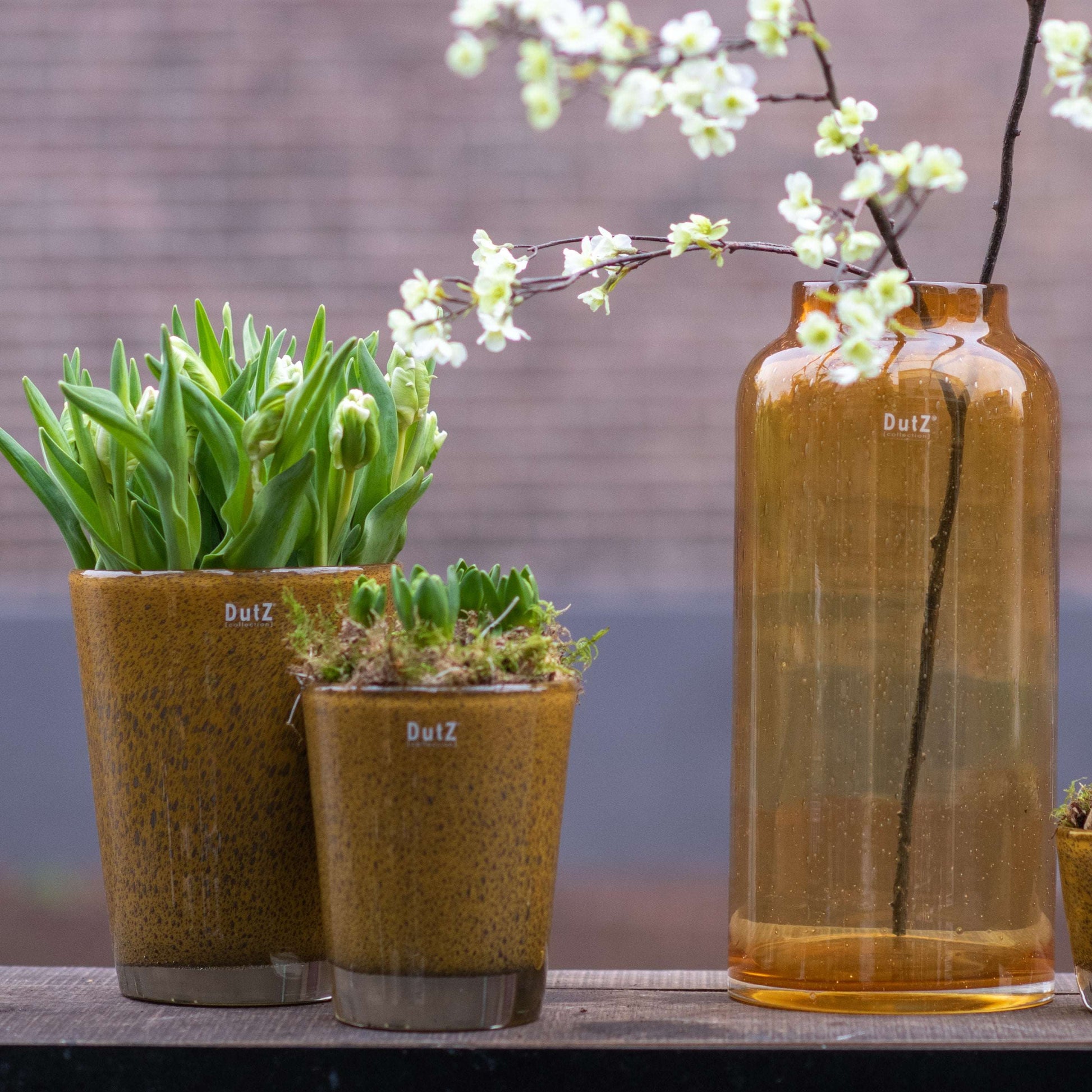 Elegant Glass Flowervase BARREL by Lowlands Design with green plants displayed for a modern home decor