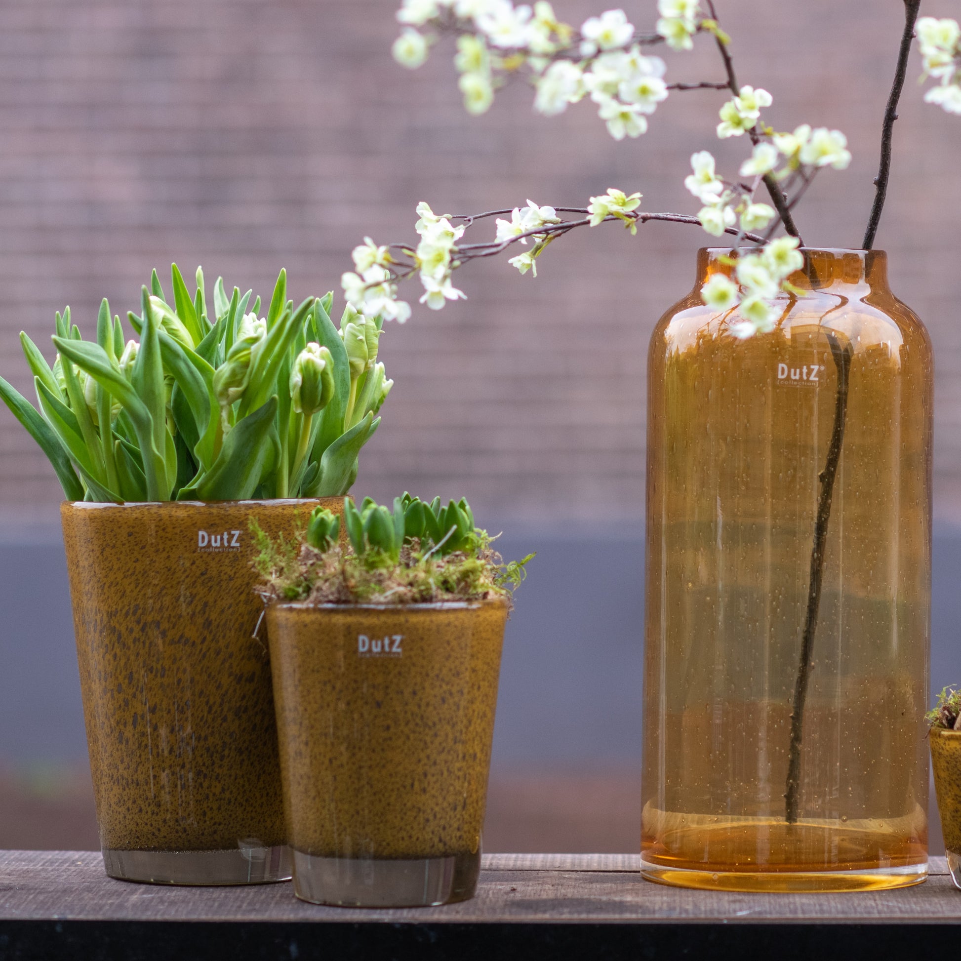 Elegant Glass Flowervase BARREL by Lowlands Design with green plants displayed for a modern home decor