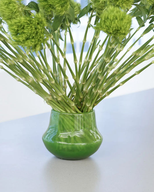 Glass Orchid POT MARCO - JUNGLE GREEN