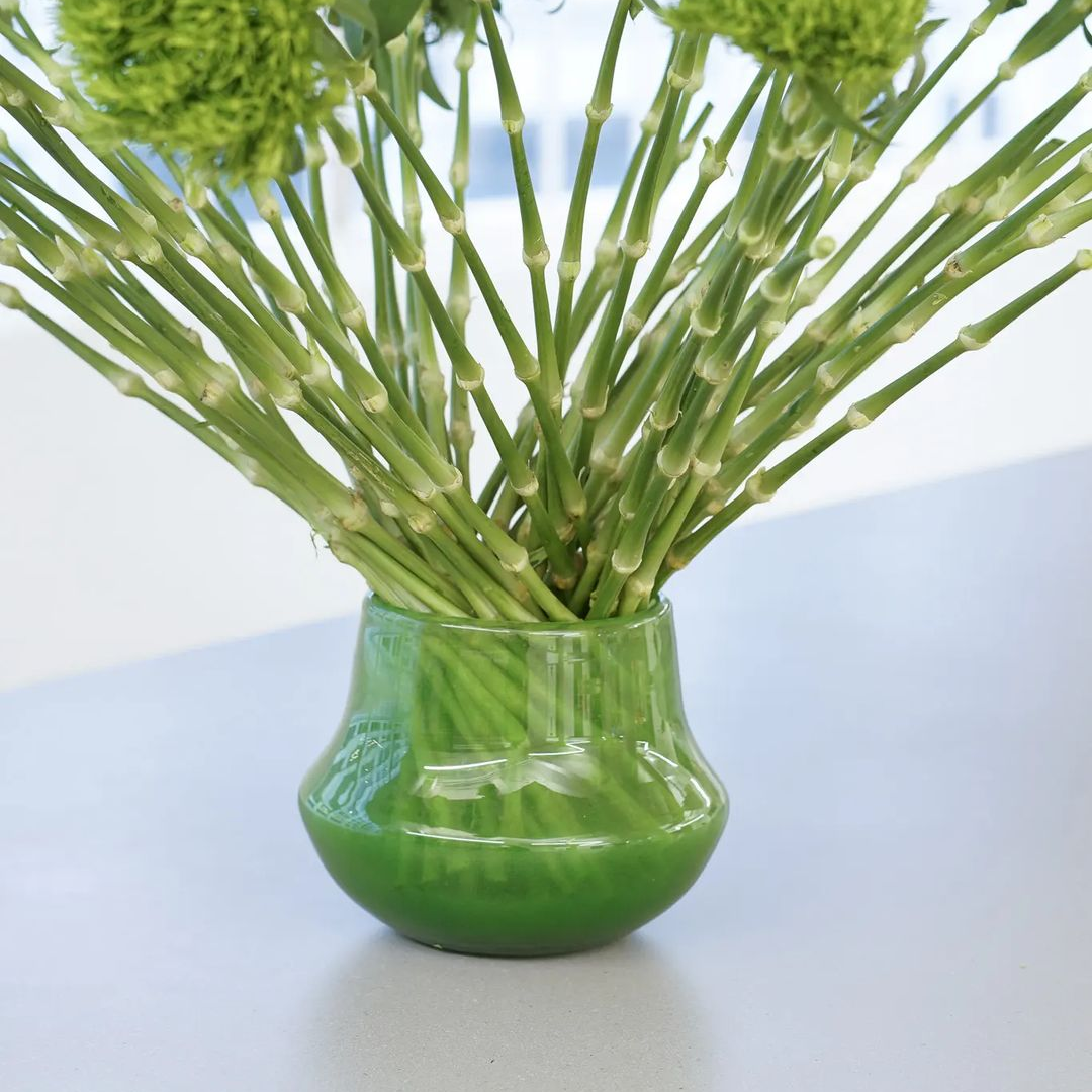 Glass Orchid POT MARCO - JUNGLE GREEN