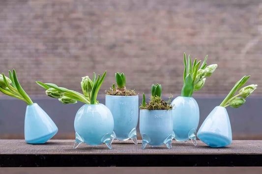 Lowlands Design vase set glass feet in light blue with unique shapes holding green plants on wooden surface